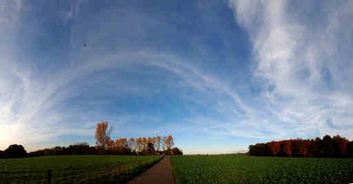 Haarzopf during fall